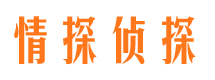 和平区市侦探调查公司